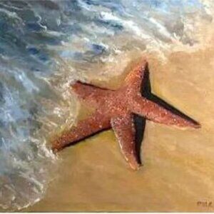 Sea Stars